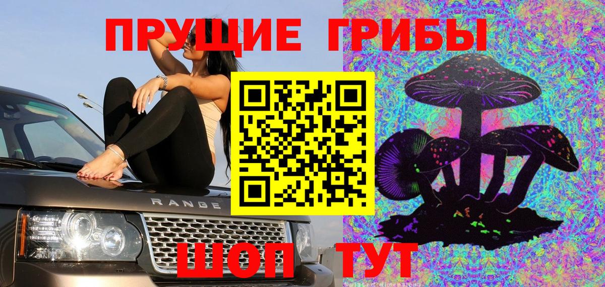 Псилоцибиновые грибы Psilocybine cubensis Верхняя Пышма