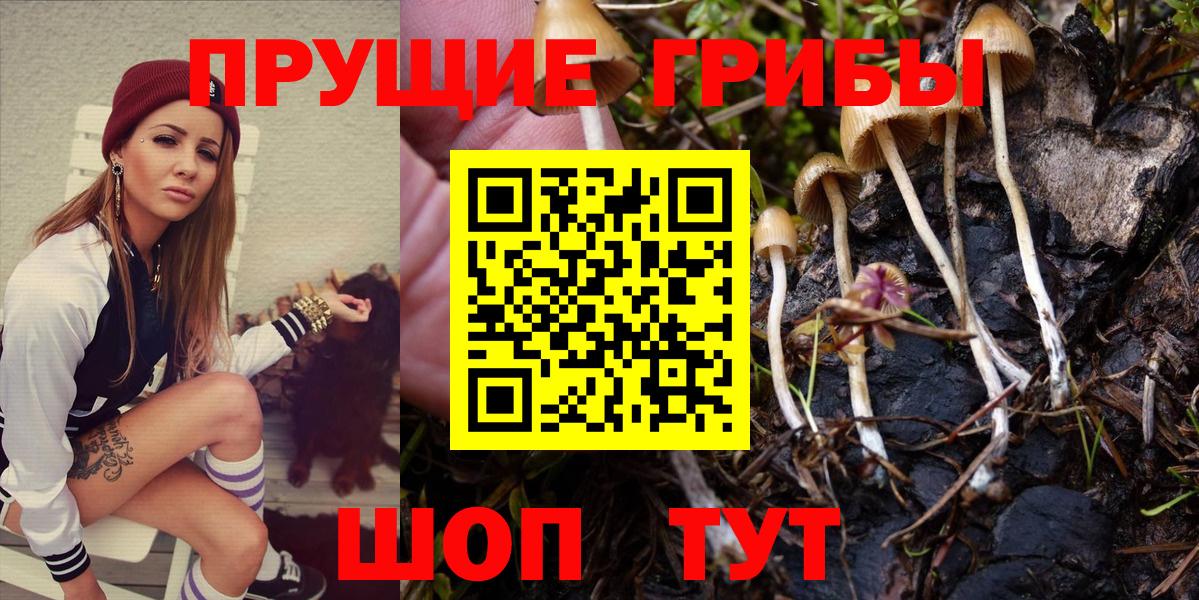 Псилоцибиновые грибы Psilocybine cubensis  Вход с VPN  купить закладку  Галлюциногенные грибы Cubensis  Верхняя Пышма 